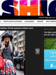 theguardian
